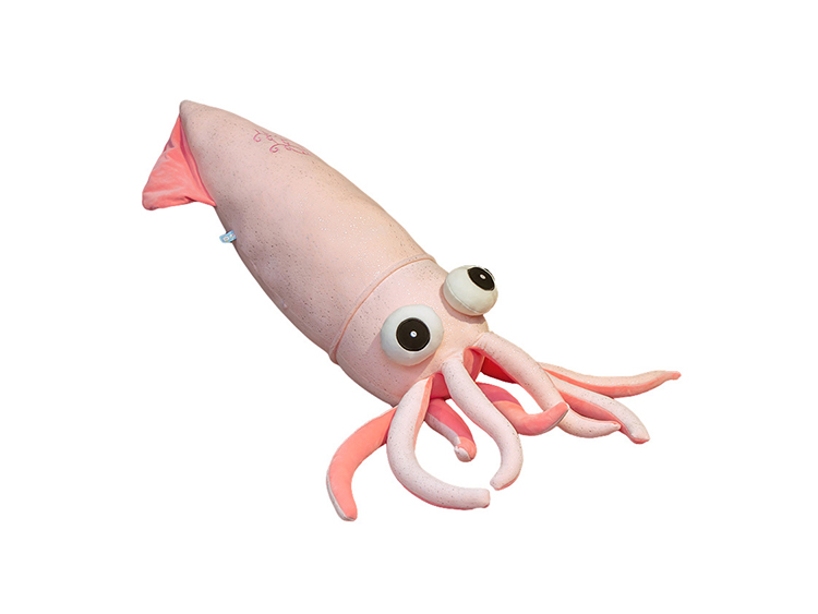 鱿鱼